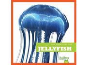 Jellyfish Life Under the Sea
