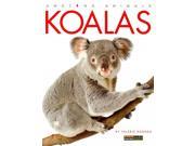 Koalas Amazing Animals