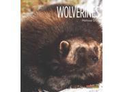 Wolverines Living Wild