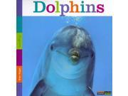 Dolphins Seedlings