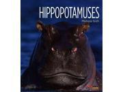 Hippopotamuses Living Wild