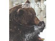 Brown Bears Living Wild