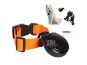 Digital Pet Collar Cam Camera Video Recorder Monitor for Dogs Cats