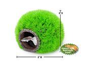 Penn Plax RR1092 8 in. Resin Fish Ornament Grass Hide-Away