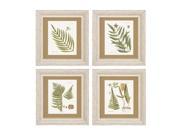 Propacimages 3641 Fern Pack of 4