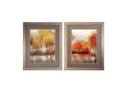 Propacimages 4526 Reflections Pack of 2