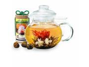 Primula PTA 4002 DST Flowering Tea Gift Set 40 oz Teapot Glass Infuser and Lid with Canister of 12 Flowering Teas