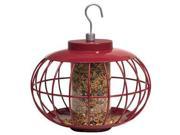 The Nuttery Seed Feeder Classi
