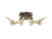 Benzara 76526 Eye-catchy Antler Wall D?cor