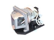Ereplacements BL FP230D Replacement Projector Lamp
