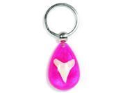 Ed Speldy East OK804 Water Drop Key Chain Real Shark Tooth with Pink in Acrylic