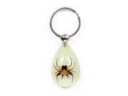 Ed Speldy East YK601 Real Bug Key Chain Tear Drop Shape Glow in the Dark Spiny Spider