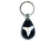 Ed Speldy East OK802 Water Drop Key Chain Real Shark Tooth with Black in Acrylic