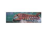 ClearVue Graphics Window Graphic 16x54 Tiger WLD 050 16 54