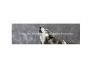 ClearVue Graphics Window Graphic 16x54 Howling in the Snow WLD 036 16 54