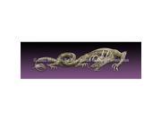 ClearVue Graphics Window Graphic 16x54 Dragon Tattoo Purple TAT 052 16 54
