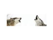 ClearVue Graphics Window Graphic 20x65 Wolf Song WLD 030 20 65