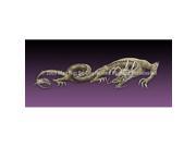 ClearVue Graphics Window Graphic 30x65 Dragon Tattoo Purple TAT 052 30 65