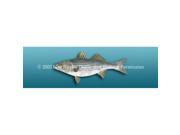 ClearVue Graphics Window Graphic 16x54 Striped Bass Light Blue FSH 013 16 54