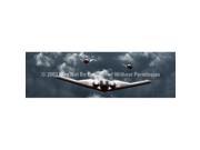 ClearVue Graphics Window Graphic 20x65 Stealth Squadron AVA 011 20 65