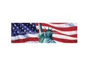 ClearVue Graphics Window Graphic 20x65 US Flag 2 with Lady Liberty PAT 008 20 65