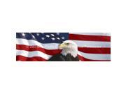 ClearVue Graphics Window Graphic 20x65 US Flag 1 with Eagle Centered PAT 010 20 65