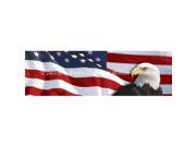 ClearVue Graphics Window Graphic 16x54 US Flag 1 with Eagle for Slider Windows PAT 014 16 54