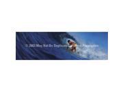 ClearVue Graphics Window Graphic 20x65 Surferotic SKI 006 20 65