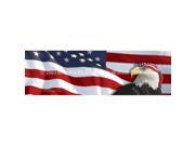 ClearVue Graphics Window Graphic 16x54 US Flag 1 with Eagle Bandana for Slider Windows PAT 016 16 54