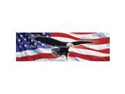 ClearVue Graphics Window Graphic 16x54 Eagle in Flight Flag PAT 029 16 54