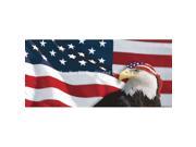 ClearVue Graphics Window Graphic 30x65 US Flag 1 with Eagle Bandana for Slider Windows PAT 016 30 65