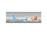 ClearVue Graphics PIN 003 20 65 Window Graphic 20x65 Pin up Christy