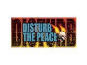 ClearVue Graphics Window Graphic 30x65 Disturb The Peace RCN 025 30 65