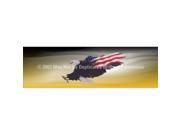 ClearVue Graphics Window Graphic 16x54 Wings of Freedom Yellow PAT 041 16 54