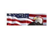 ClearVue Graphics Window Graphic 16x54 US Flag 1 with Eagle Bandana PAT 005 16 54