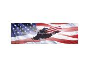 ClearVue Graphics Window Graphic 16x54 Wings of Freedom Flag 2 PAT 045 16 54