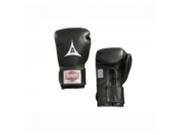 Amber Sporting Goods ABG 33002 10 B Professional Cloth Tie Training Gloves 10oz