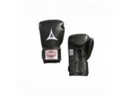 Amber Sporting Goods ABG 3002 20 B Professional Velcro Training Gloves 20oz