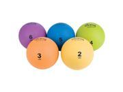 Ecowise 85103 Weight Ball Kiwi