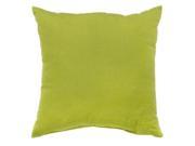 Greendale Home Fashions OC4803S2 KIWI Outdoor Accent Pillows Set of Two Kiwi