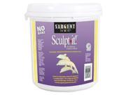 Sargent Art 222003 Sculp It 10 lb. Air Hardening Sculpting Material