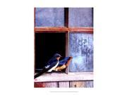Posterazzi OWP77154D Barn Swallows Window Poster by Chris Vest 13.00 x 19.00