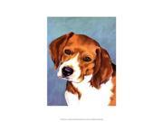 Posterazzi OWP77126D Dog Portrait Beagle Poster by Jill Sands 13.00 x 19.00