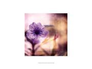 Posterazzi OWP77042D Purple Tranquility I Poster by Emily Robinson 13.00 x 19.00