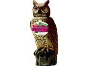 Dalen Products DALENSROH4 Solar Activate Owl Decoy Scarecrow Bird Deterrent