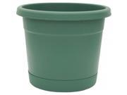 Ames 12in. Fern Rolled Rim Planters RR1212FE Pack of 12