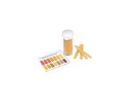 LEARNING RESOURCES LER2480 PH PAPER 100 STRIPS