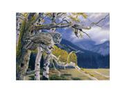 Outset Media Games Great Grey Owl 1000 piece Puzzle