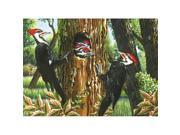 Outset Media Games Pileated Woodpeckers 1000 piece Puzzle