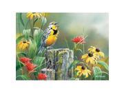 Outset Media Games Meadowlark Morning 1000 piece Puzzle